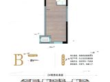 东亚京尊_商务办公B户型 建面42平米