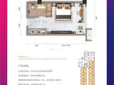 红湘大第_1室1厅1卫 建面38平米